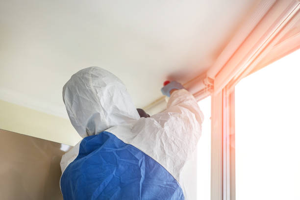 Best Emergency Mold Remediation in Kekaha, HI